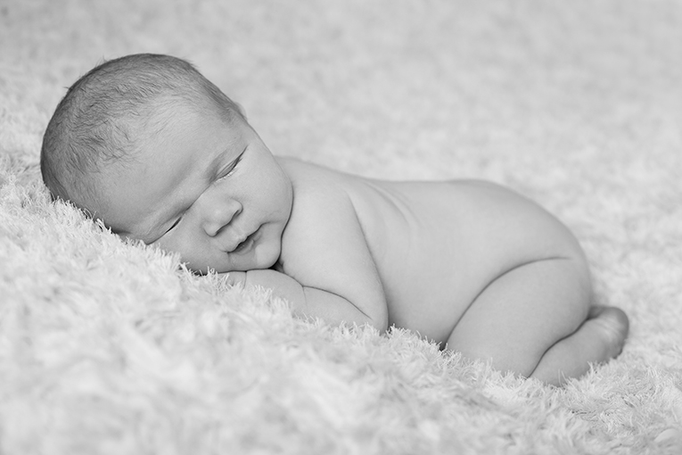Baby Photos North Wales